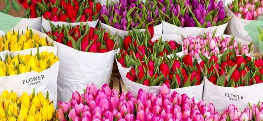 Тюльпаны с доставкой