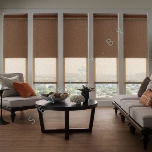 Японские шторы