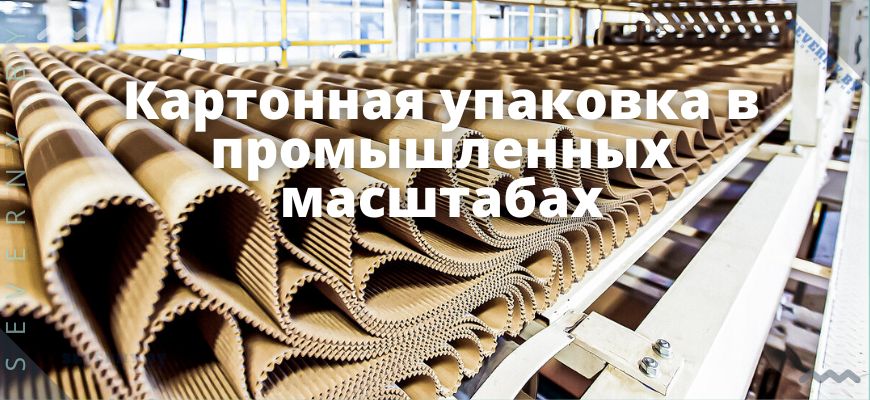 Картонная упаковка в промышленных масштабах