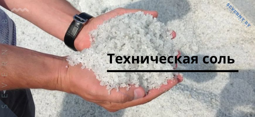 Техническая соль купить в РБ
