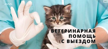 ВЕТ ПОМОЩЬ С В ВЫЕЗДОМ НА ДОМ