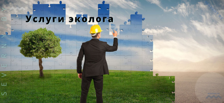 Услуги эколога