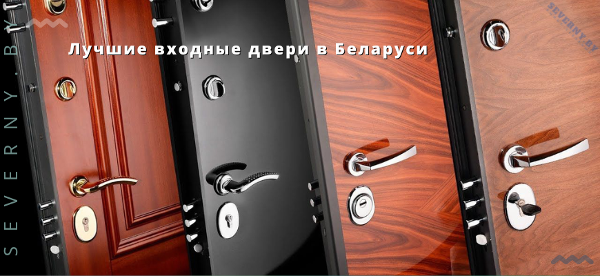 Лучшие входные двери