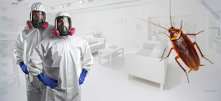 Профессиональная дезинсекция от тараканов