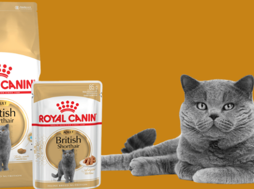 Корма для кошек Royal Canin
