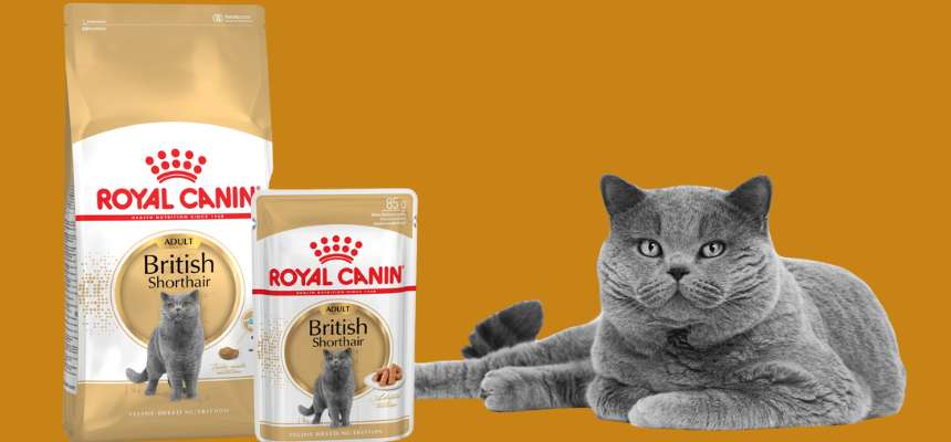 Корма для кошек Royal Canin